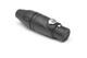Amphenol Audio AX5FB BULK